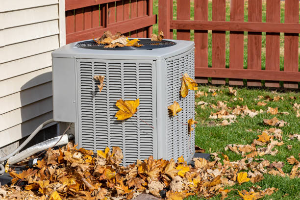 Best HVAC Cleaning Services  in Mascoutah, IL
